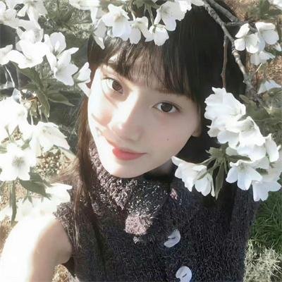 圣纳西斯 封面