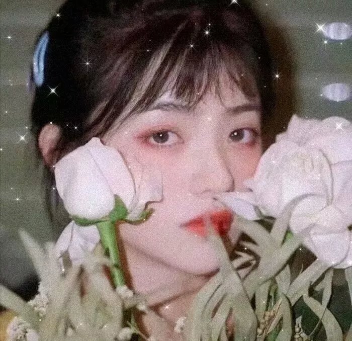恋爱青春梦 封面